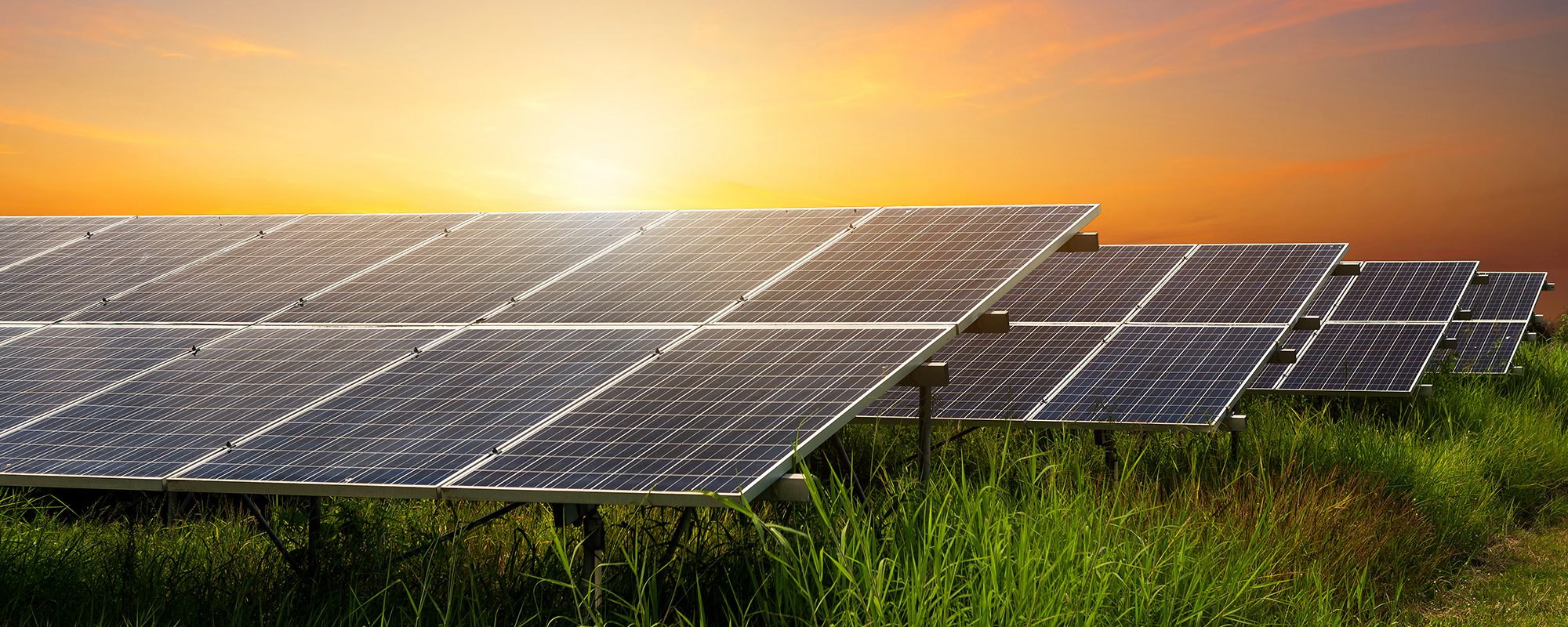 solar panels on a field of grass at sunrise that will assist with renewable energy engineering