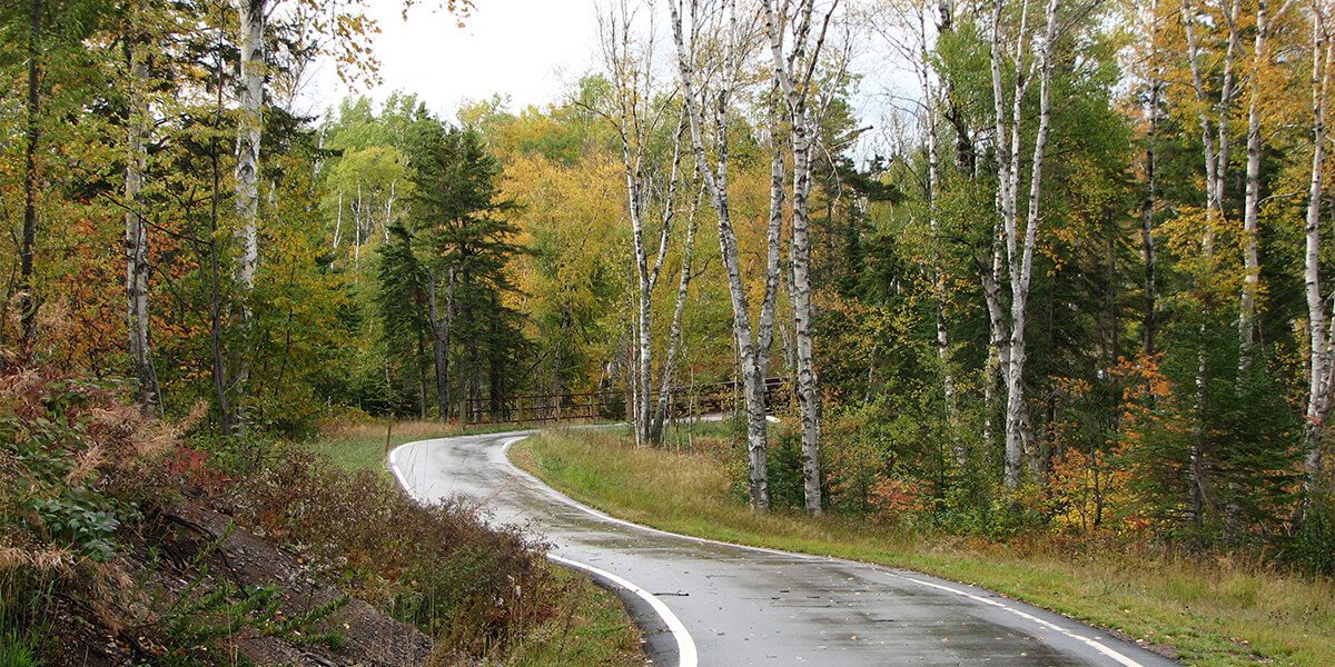 trail in woods leading to park