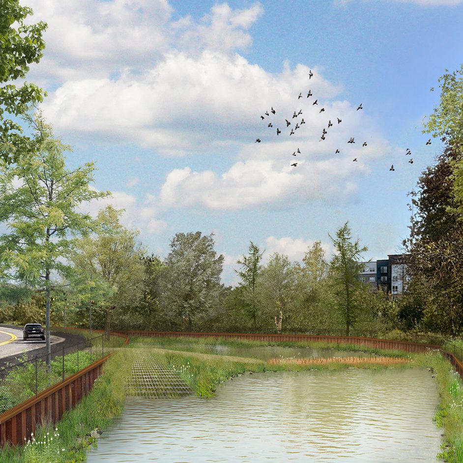 Pond rendering
